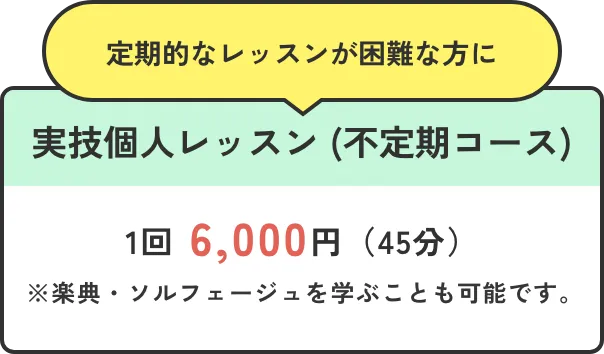 定期的なレッスンが困難な方に 実技個人レッスン (不定期コース)